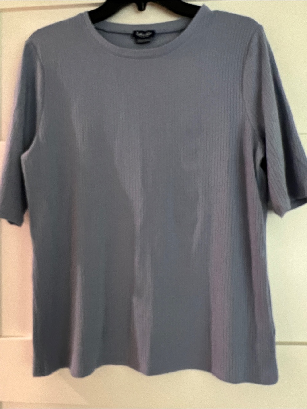 Splendid Ribbed Crew Neck Shirt -  Blue with a lavender tint